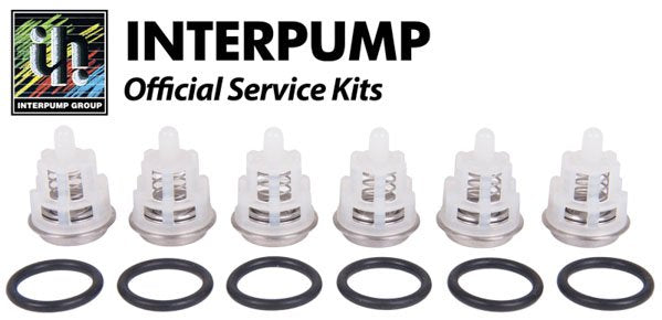 Interpump Service / Repair Kit 123 - 6x Suction / Delivery Valves