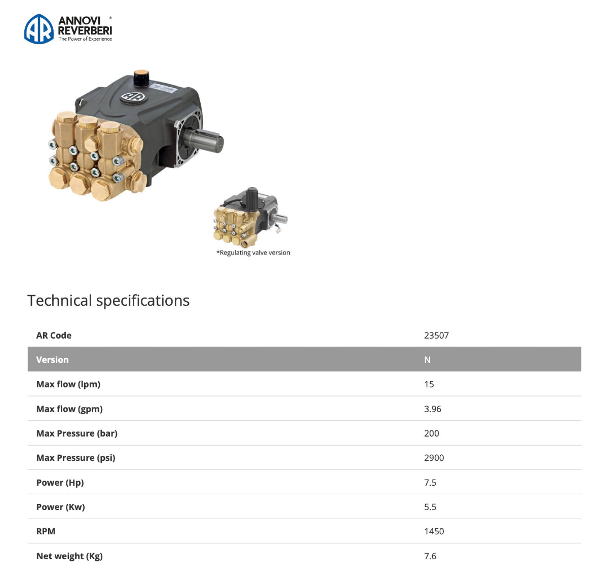 RR 15.20 Annovi Reverberi Solid Shaft Pump – 15 l/min @ 200 Bar, 24mm Shaft for 100 Frame Motors