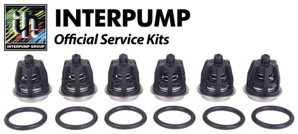 Interpump Service / Repair Kit 1 - 6x Suction / Delivery Valves