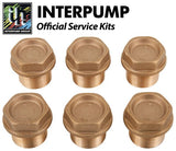 Interpump Service / Repair Kit 124 - 6x Brass Valve Caps with O Rings