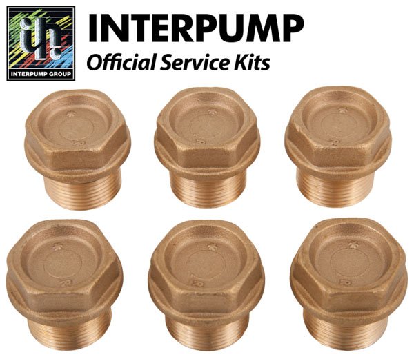 Interpump Service / Repair Kit 124 - 6x Brass Valve Caps with O Rings