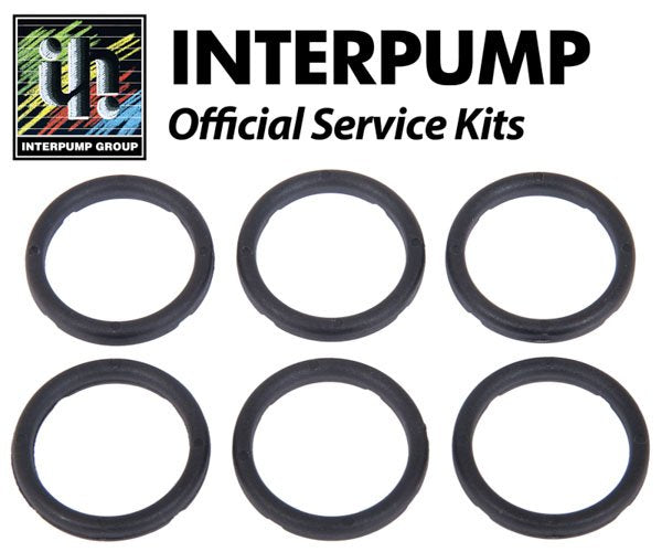 Interpump Service / Repair Kit 129 - 6x 18mm Head Rings