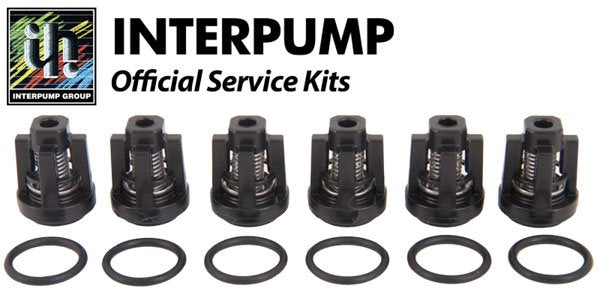 Interpump Service / Repair Kit 134 - 6x Suction / Delivery Valves