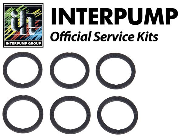 Interpump Service / Repair Kit 155 - 3x 13mm Head Rings
