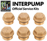 Interpump Service / Repair Kit 157 - 6x Valve Caps with O Rings