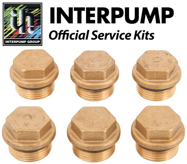 Interpump Service / Repair Kit 157 - 6x Valve Caps with O Rings