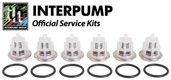 Interpump Service / Repair Kit 169 - 6x Suction / Delivery Valves (36.7127.01) Applications up to 85°C