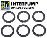 Interpump Service / Repair Kit 21 - 6x 20mm Head Rings