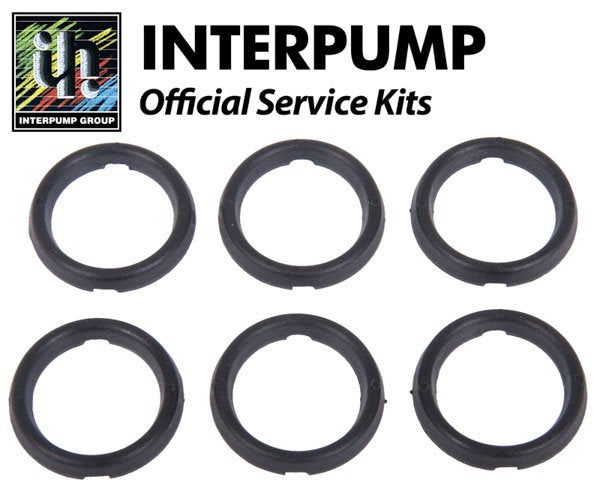 Interpump Service / Repair Kit 21 - 6x 20mm Head Rings