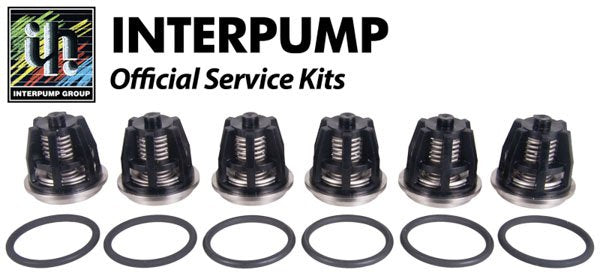 Interpump Service / Repair Kit 43 - 6x Suction / Delivery Valves