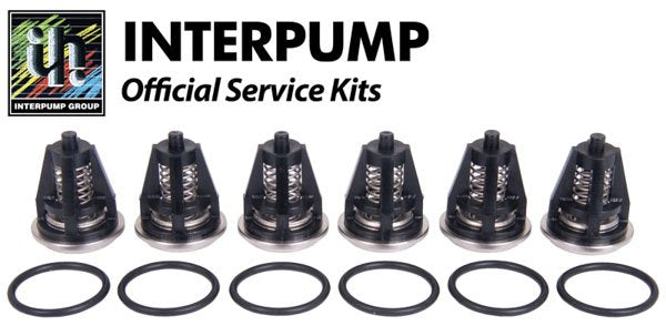 Interpump Service / Repair Kit 62 - 6x Suction / Delivery Valves