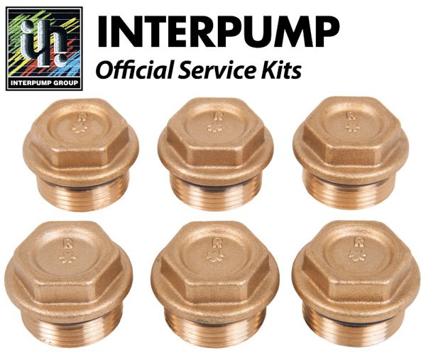 Interpump Service / Repair Kit 84 - 6x Valve Caps with O Rings