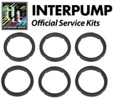 Interpump Service / Repair Kit 90 - 6x 15mm Head Rings