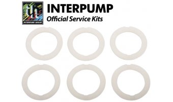 Interpump Service / Repair Kit 11 - 6x 22mm Head Rings