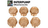 Interpump Service / Repair Kit 4 - 6x Brass Valve Caps with O Rings