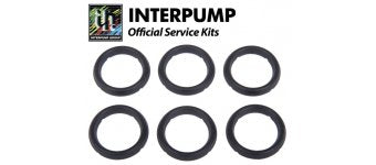 Interpump Service / Repair Kit 7 - 6x 20mm Head Rings